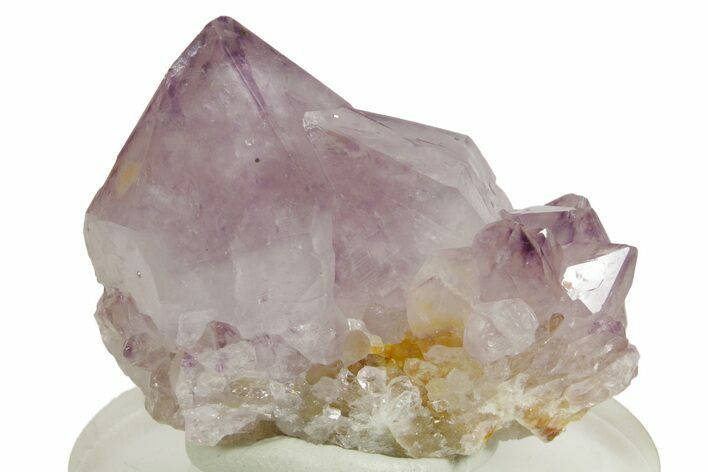 Sparkling Cactus Amethyst Crystal Cluster - South Africa #364602